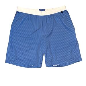 Remington Reynolds Men’s Hybrid Active Shorts Blue Stripes Size Large